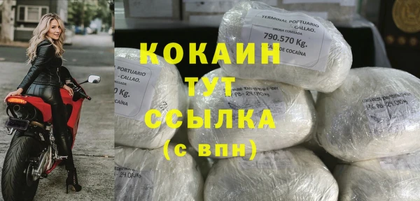сатива Покров