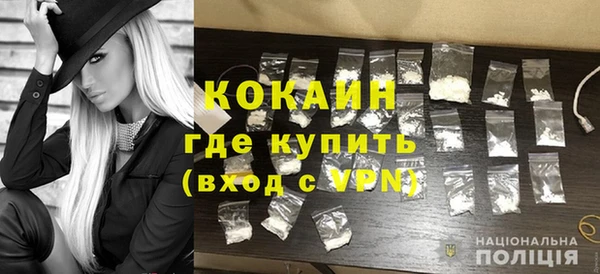 шишки Пересвет