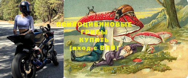 ешки Щучье