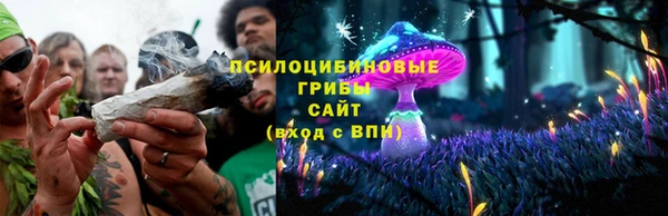 шишки Пересвет