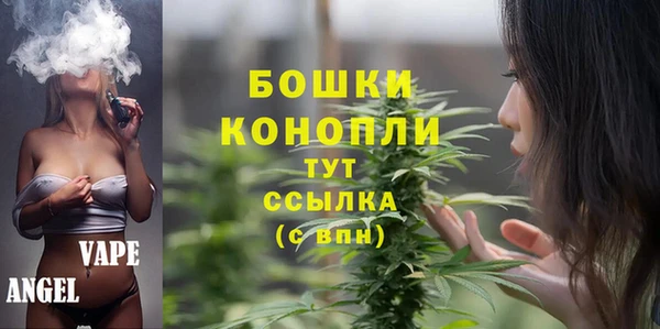 шишки Пересвет