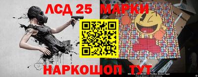 Альфа ПВП Моздок