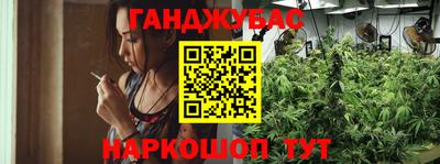 Альфа ПВП Моздок