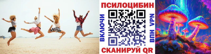 купить  сайты  Великий Новгород  Галлюциногенные грибы мицелий 