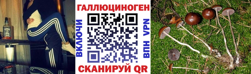 Галлюциногенные грибы прущие грибы Великий Новгород