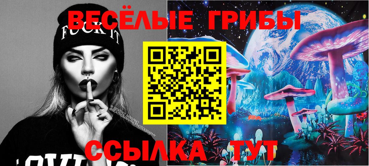 Псилоцибиновые грибы Cubensis  Галлюциногенные грибы ЛСД  Великий Новгород  Вход с VPN 